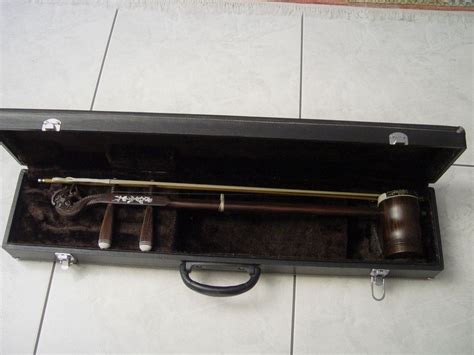 traditionelles chinesisches instrument kaufen auf ricardo