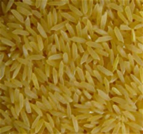golden rice potential source  vitamin  health jockey