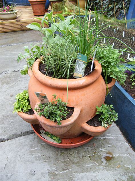 terra cotta strawberry pot  herb growing herb garden pots