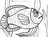 Mewarnai Ikan Risco Peixe Pintura Riscos Peixes Affiliate sketch template