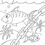 Fundo Mar Pesci Peixes Mewarnai Riscos Oceano Binatang Hidup Animali Peixinhos Desenho Coloradisegni Ayo Em Qdb Diversos sketch template