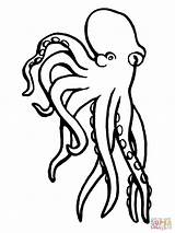 Octopus Coloring Pages Mollusc Printable Drawing Clipart sketch template