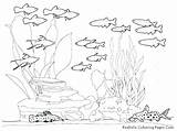 Underwater Pages Coloring Plants Sea Getcolorings Creat Printable sketch template