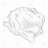 Chicken Roast Getdrawings Roasted Drawing sketch template