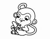Colorare Scimmia Macaco Colorir Disegni Scimmie Immagini Monito Selva Bambini Plátano Acolore Animali Jirafa Platano Utente Appesa Presumida sketch template