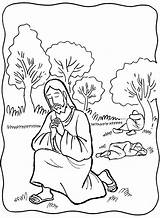 Praying Gethsemane Misterios Colorear Prays Sheet Tempted Dolorosos Santa Crucificado Azotado Addition Rosario Santo Oraciones Physics Solve Tutor Coloringhome Clipground sketch template