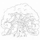 Tree Oak Coloring Forest Trees Pages Guard Color Getcolorings Printable Family Getdrawings sketch template