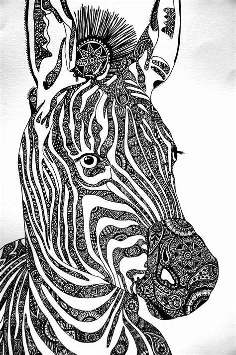 twllllyat zebra art zentangle drawings zentangle animals