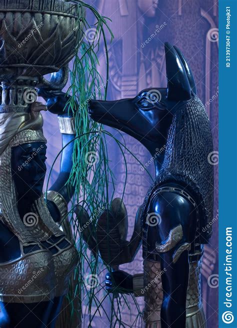 jackal anubis cleopatra`s nubian servant statue stock image image of