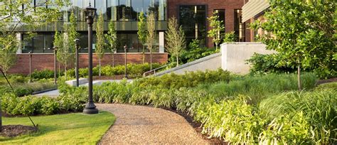 colleges campus landscaping university landscapers brightview