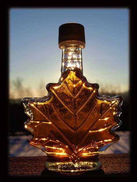 maple syrup home  gardening ideas