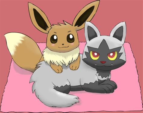eevee and poochyena by pichu90 on deviantart