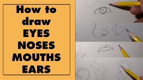 draw eyes noses ears  mouths youtube