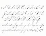 Calligraphy Alphabet Spencerian Script Modern Cursive Practice Handwriting Copperplate Sheets Learn Beginners Pen Basic Letters Hobby Strokes Flourishing Fairy Graphics sketch template