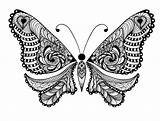 Coloring Pages Adults Butterfly Adult Animals Animal Printable Kids Bestcoloringpagesforkids Ornaments Uncolored Folk Tattoo Lot Sweet Templates Abstract Vector Tattooimages sketch template