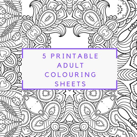 printable adult colouring sheets set  etsy