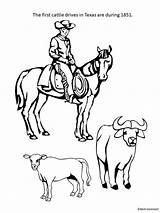 Coloring Cattle Drive Pages Texas History Color Getcolorings Getdrawings sketch template