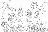 Fish Coloring Pages Kids Colouring Printable Sheets Ocean Drawing Colorear Aquarium Para Rainbow sketch template