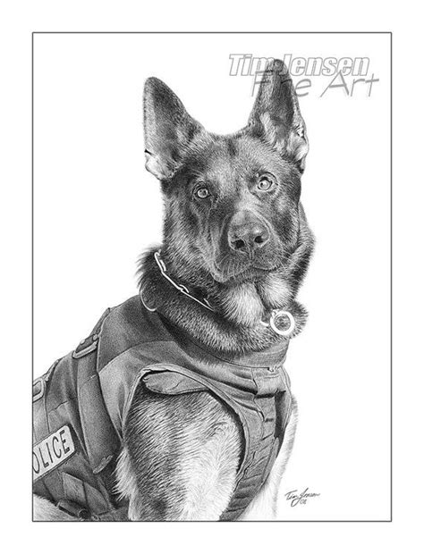 police dog drawing  paintingvalleycom explore collection  police