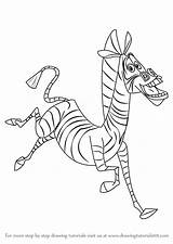 Madagascar Zebra Marty Drawing Draw Easy Sketch Step Drawings Cartoon Drawingtutorials101 Learn Paintingvalley Tutorials Getdrawings sketch template
