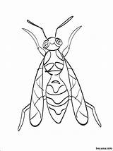 Coloring Hornet Pages Preschool Wasp Printable Kids Designlooter 750px 17kb 74kb sketch template