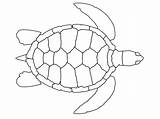 Turtle Coloring Pages Printable Kids sketch template