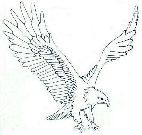 pin   eagles