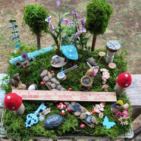 complete fairy garden kit with container alice in wonderland