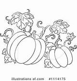 Pumpkin Clipart Pumpkins Coloring Clip Vine Pages Vines Fall Illustration Royalty Drawing Easy Halloween Vector Color Graphics Kids Dibujos Turkey sketch template