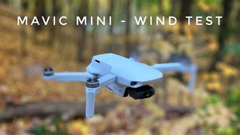 dji mavic mini extreme wind test   fly  high winds air photography gopro drones