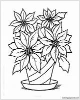 Poinsettia Pages Christmas Coloring Color Online Print Adults sketch template