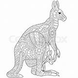 Kangaroo Zentangle Coloring Adult Australian Stylized Freehand Pages Aboriginal Vector Animals Animal Choose Board Wallaby Stress Anti Book Cub Sketch sketch template