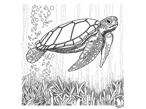 turtle coloring pages coloring book pages sea turtle art underwater