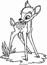 Bambi Colorare Disegno Stampa sketch template