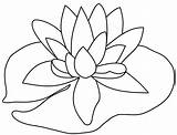 Pads Lilies Lilly Designs Appealing Getdrawings Webstockreview sketch template