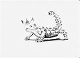 Thorny Devil Coloring Lizard Drawings Kids Designlooter Dragon Sharkbay Address Aspx Site Good Find December sketch template