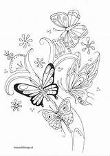 Coloring Mandala Butterfly Kleurplaat Vlinder Pages Volwassenen Voor Butterflies sketch template