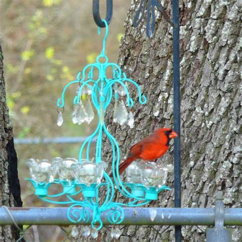 cute bird feeder ideas family handyman