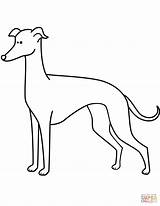 Greyhound Coloring Whippet Pages Drawing Funny Italian Line Bargain Template Face Printable Getdrawings Getcolorings Colorings Dogs Sketch Color Categories sketch template