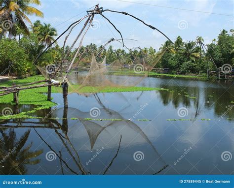 de binnenwateren van kerala india stock afbeelding image  bomen palm