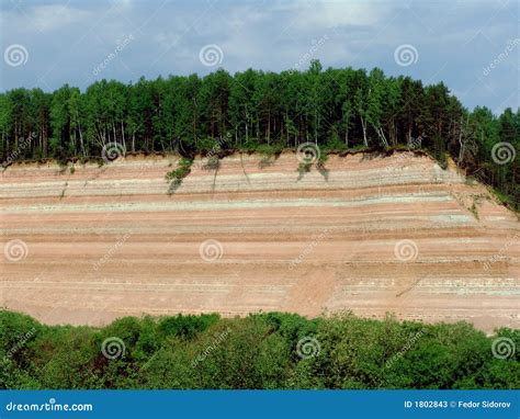 forest rock  stock image image  lawn geology geological
