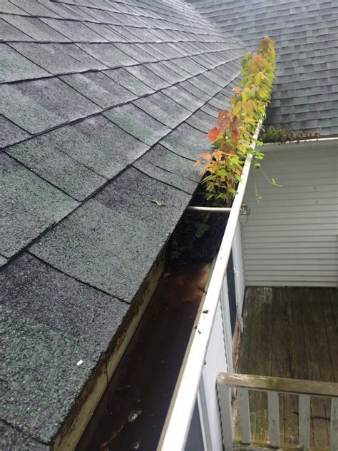 gutter cleaning anew contractors