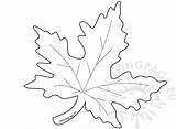 Leaf Maple Template Autumn Coloring Getdrawings Drawing Coloringpage Eu sketch template