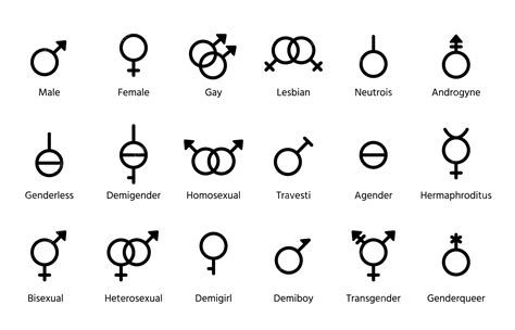 premium vector gender symbols set outline black signs isolated  white background simple