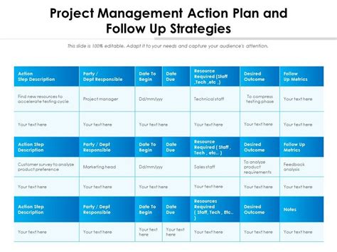 project management action plan  follow  strategies