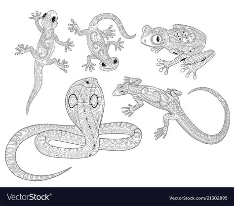 coloring page  reptiles  patterned style vector image