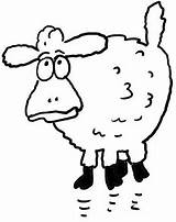 Sheep Pages Coloring Cartoon Surprised Islam Eid Adha Al Printable Color Colouring Supercoloring Gif sketch template