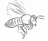 Bee Coloring Pages Printable Template Kids Outline Templates Bees Drawing Colouring Color Print Simple Board Shape Bestcoloringpagesforkids Insect Animals Getdrawings sketch template