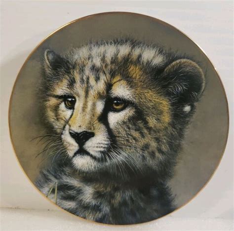 princeton gallery cubs of the big cats plate collection cheetah cub ebay