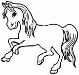 Cavalo Colorir Cavalos sketch template
